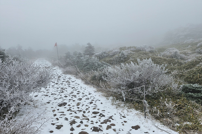 한라산 탐방예약