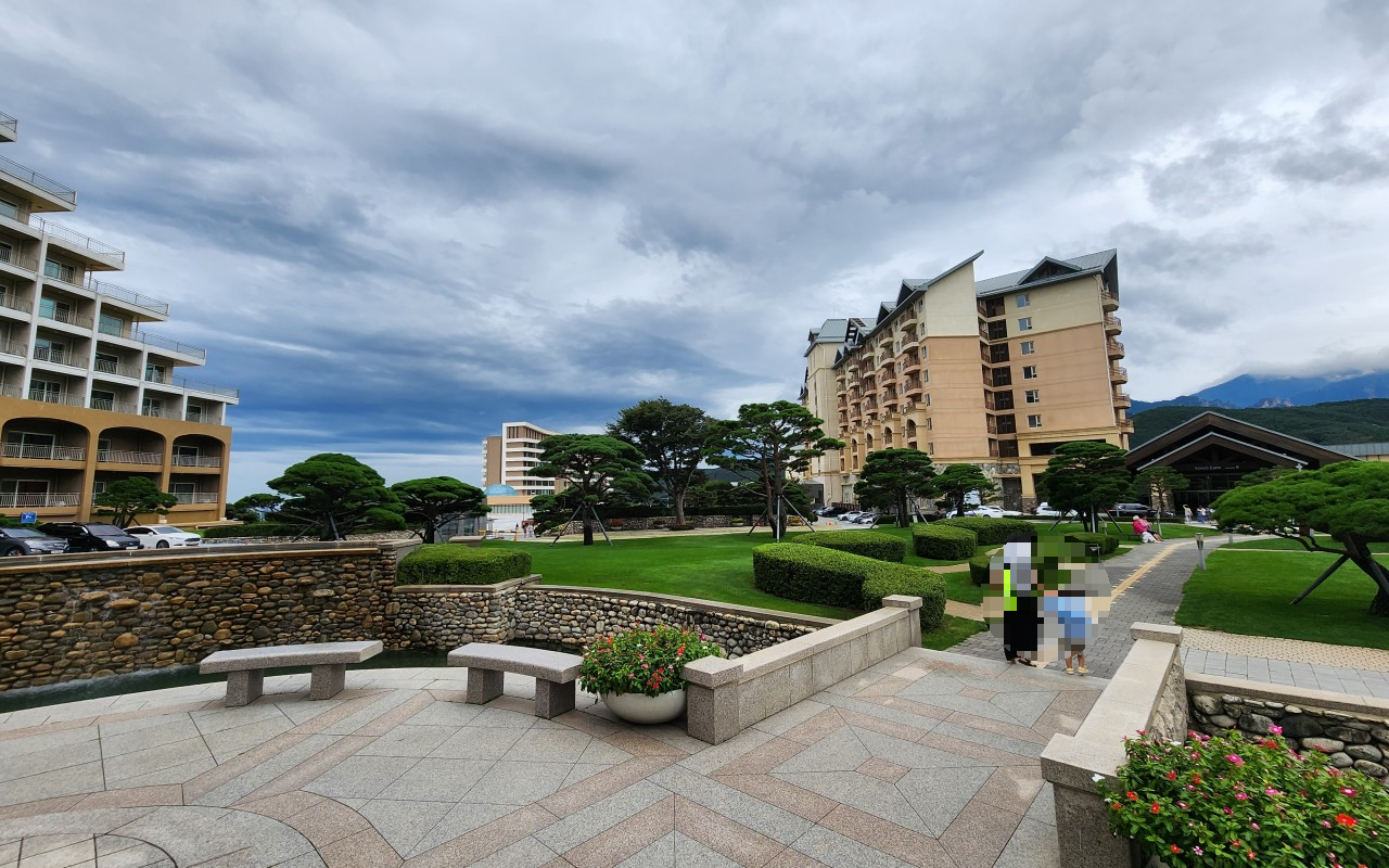 델피노 소노문 측면