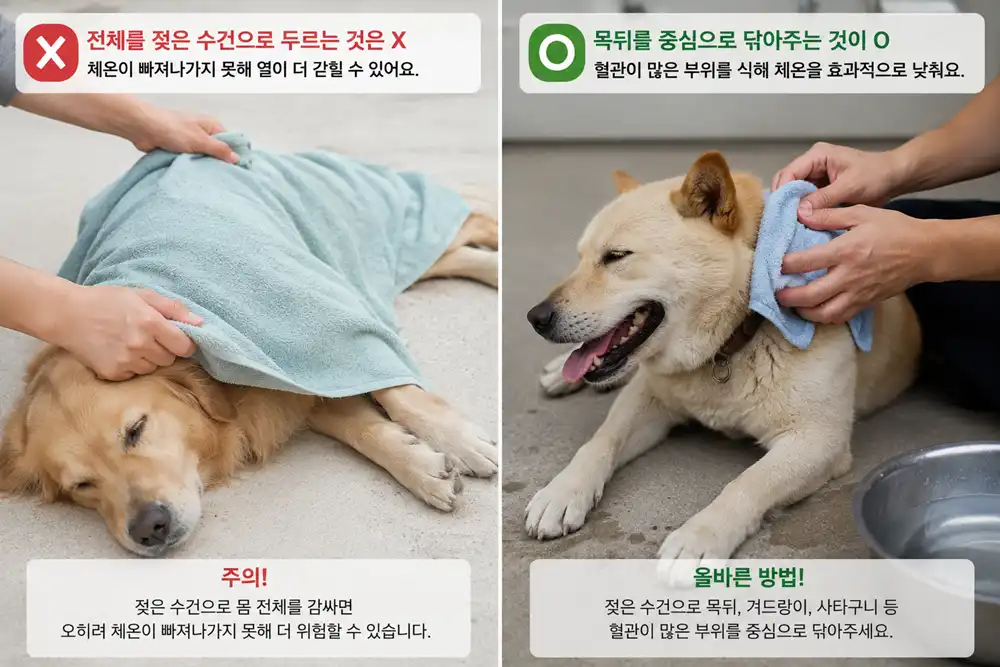강아지 열사병 대처법 비교