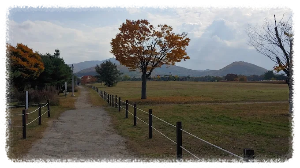 강화고인돌유적은 한반도 선사시대의 신비