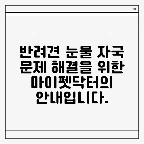 반려견 눈물 자국 문제 해결을 위한 마이펫닥터의 안내입니다.
