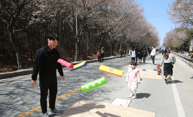 벚꽃 축제 일정