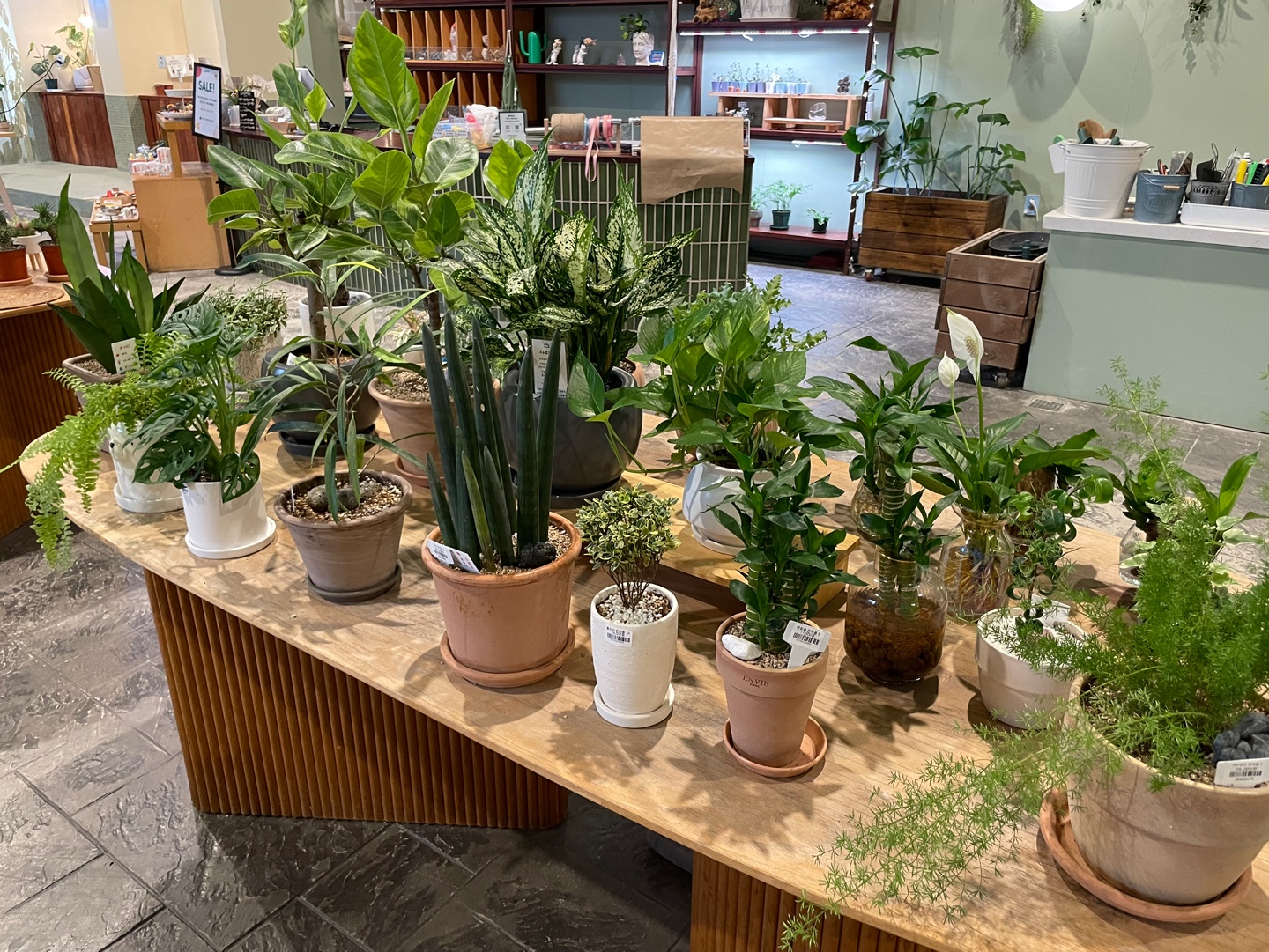 용인 식물원 베이커리 카페 어반리프