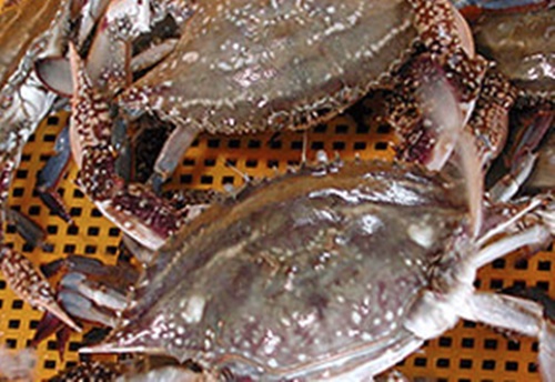 태안 가볼만한곳