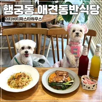 강아지 동반 애견 동반 여행 국내 베스트 10_6