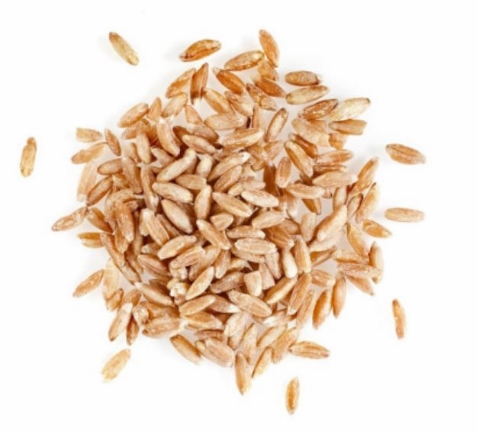 파로 곡물 효능 밥짓기 먹는법 가격