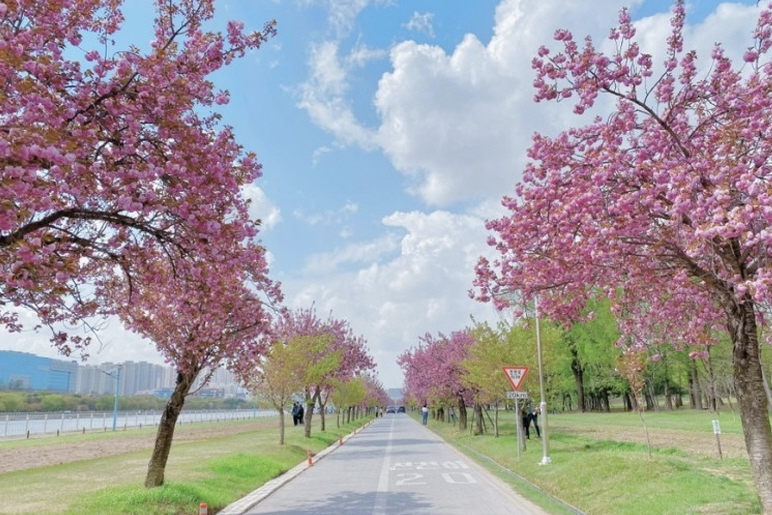 미사경정공원 이미지