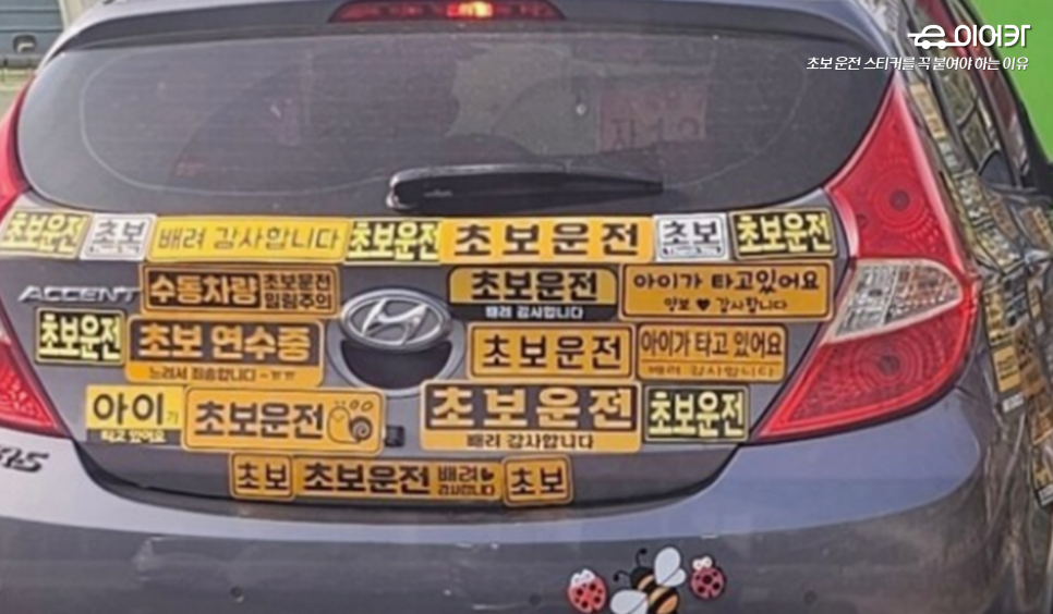 초보운전