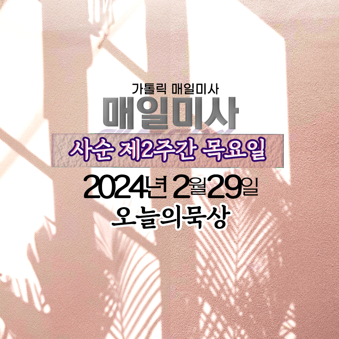 2024년 2월 29일 매일미사