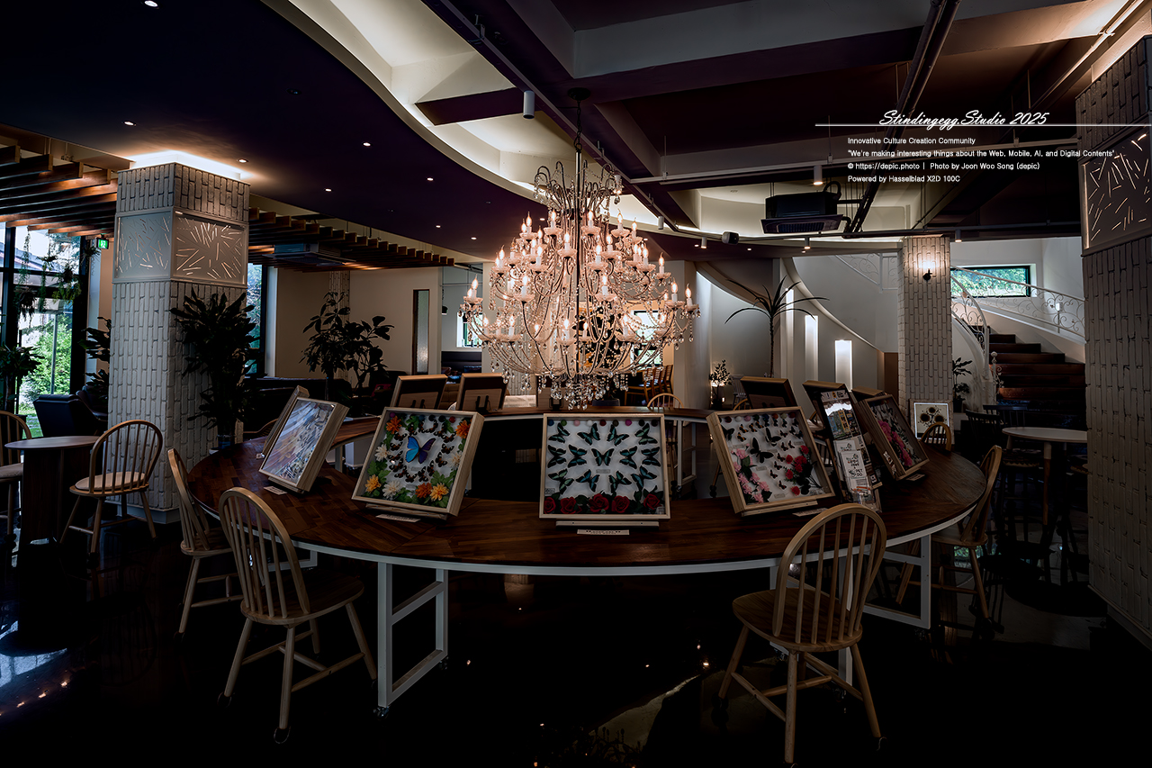 #증평 #카페 #미몽