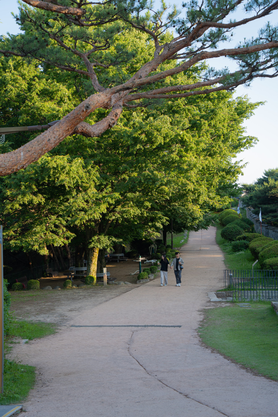 수원 팔달산 팔달산 내려가는길