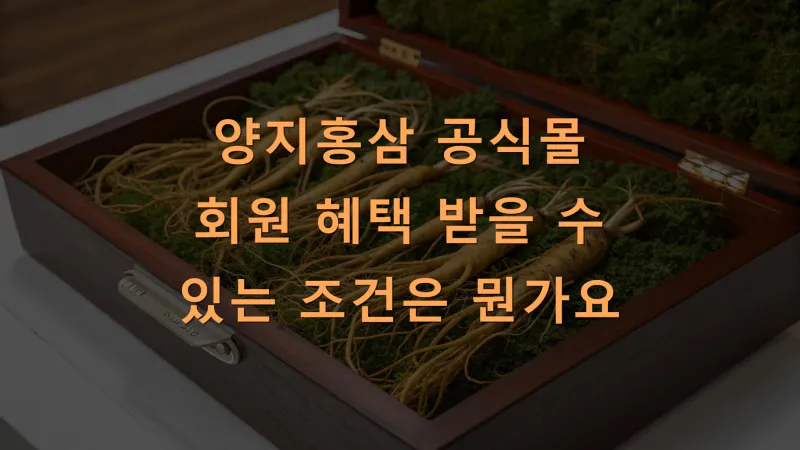 양지홍삼 공식몰 회원 혜택 받을 수 있는 조건은 뭔가요