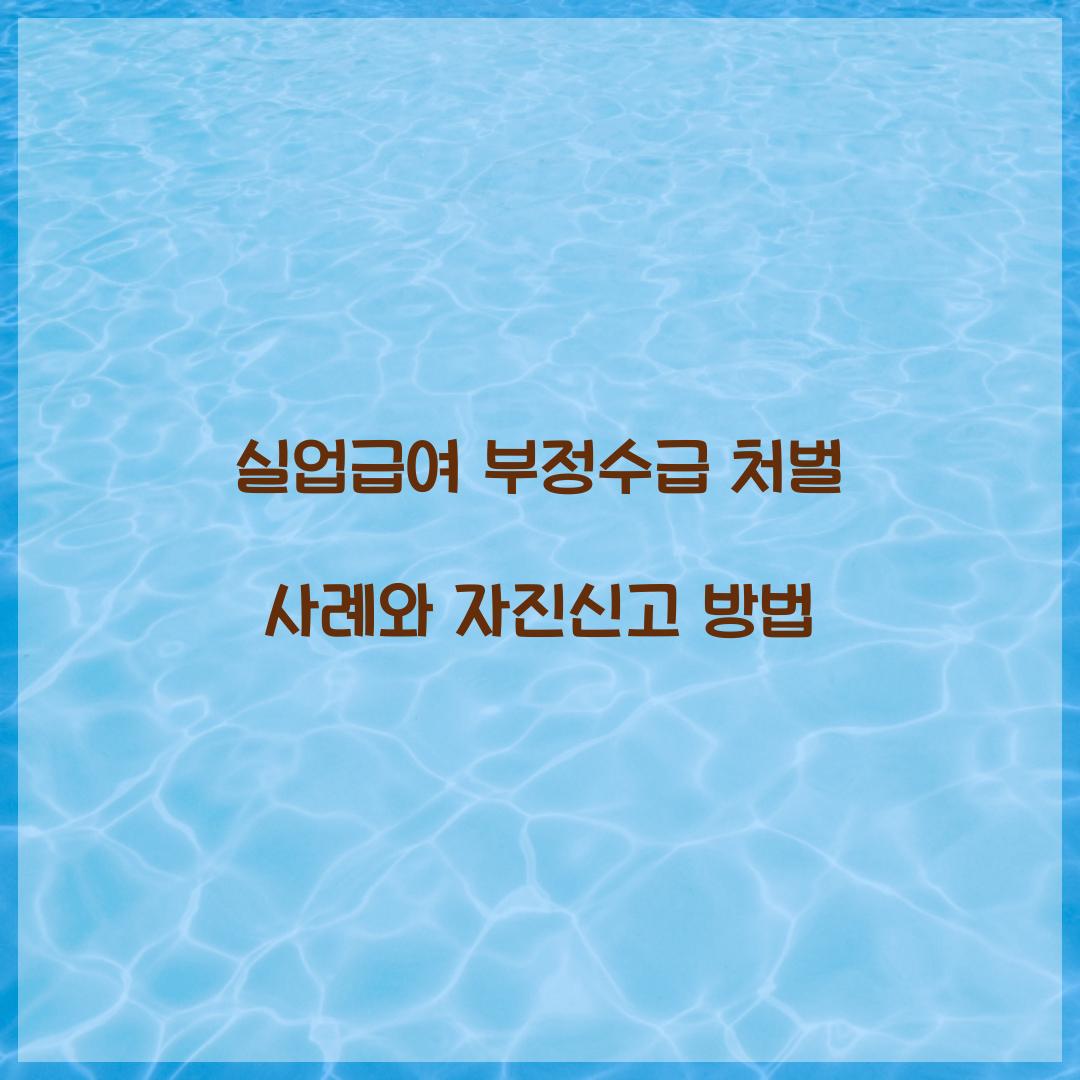 실업급여 부정수급 처벌