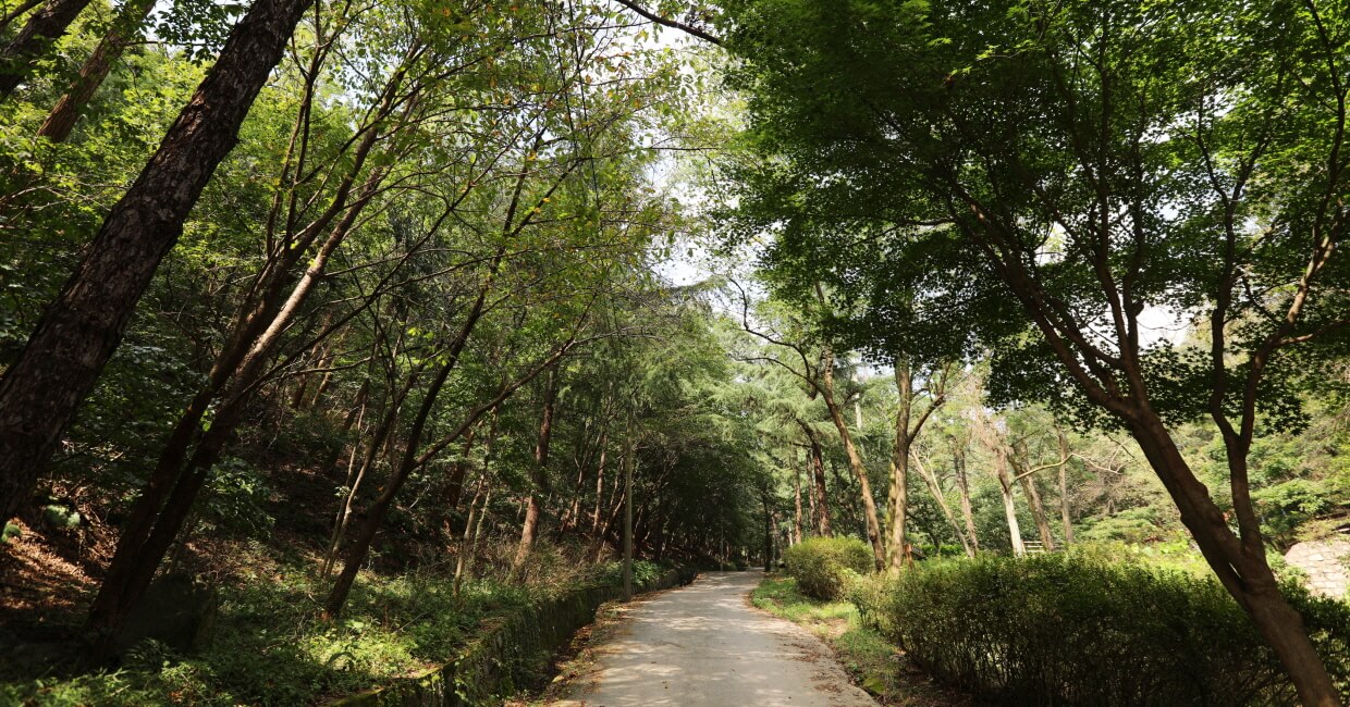 용봉산 자연휴양림