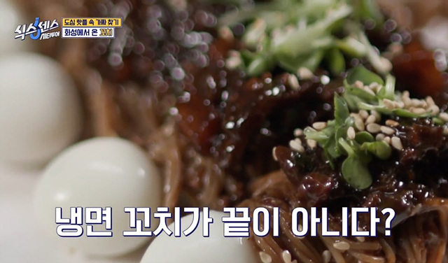 식스센스 수원 2회 맛집 정보 김치폭탄통닭 75cm파르페 냉면꼬치 디믈리에 도토리캐리커쳐 여행