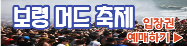 보령머드축제 입장권 예매하기
