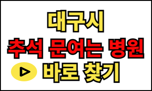 대구시 추석 문 여는 병원 약국, 명절 설날 진료 병의원, 24시간 진료