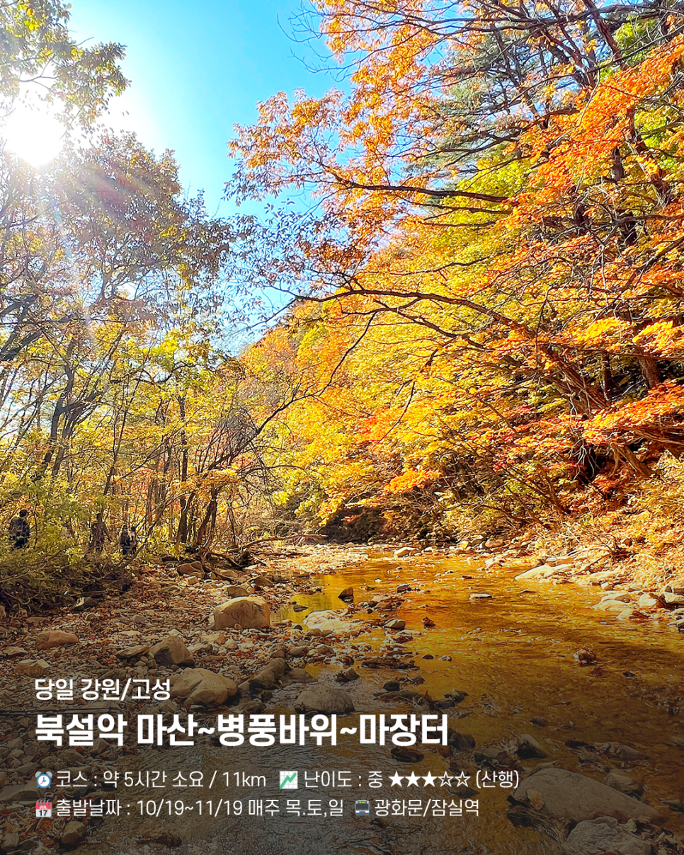 2024 가을 단풍 명소 7곳 소개