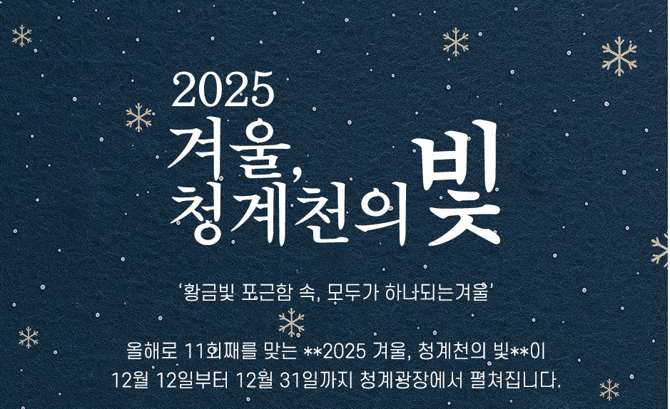2025 겨울, 청계천의 빛