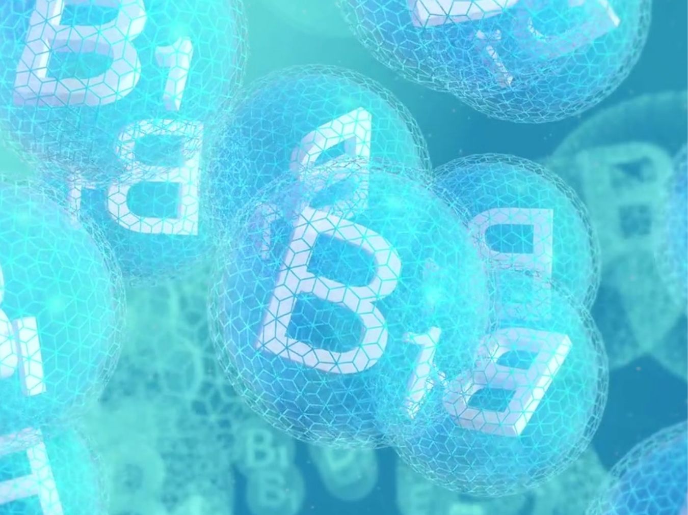 비타민B 하루 권장량