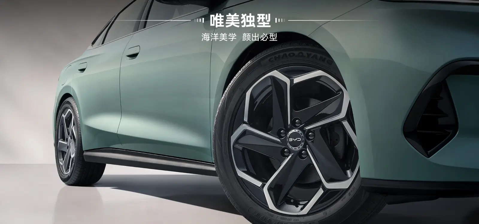 BYD(비야디) 전기 자동차 씰