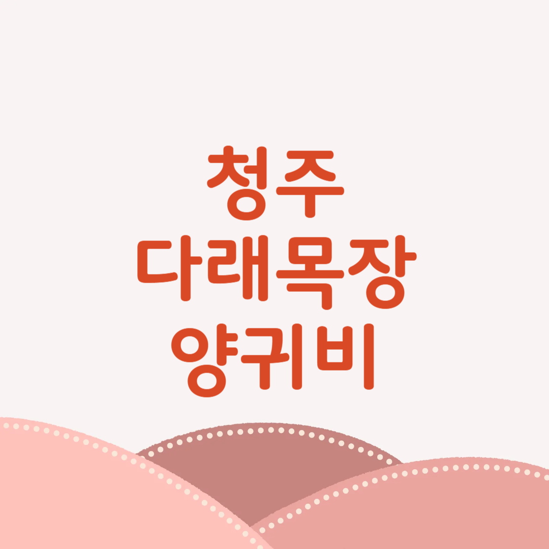 청주 다래목장 양귀비꽃