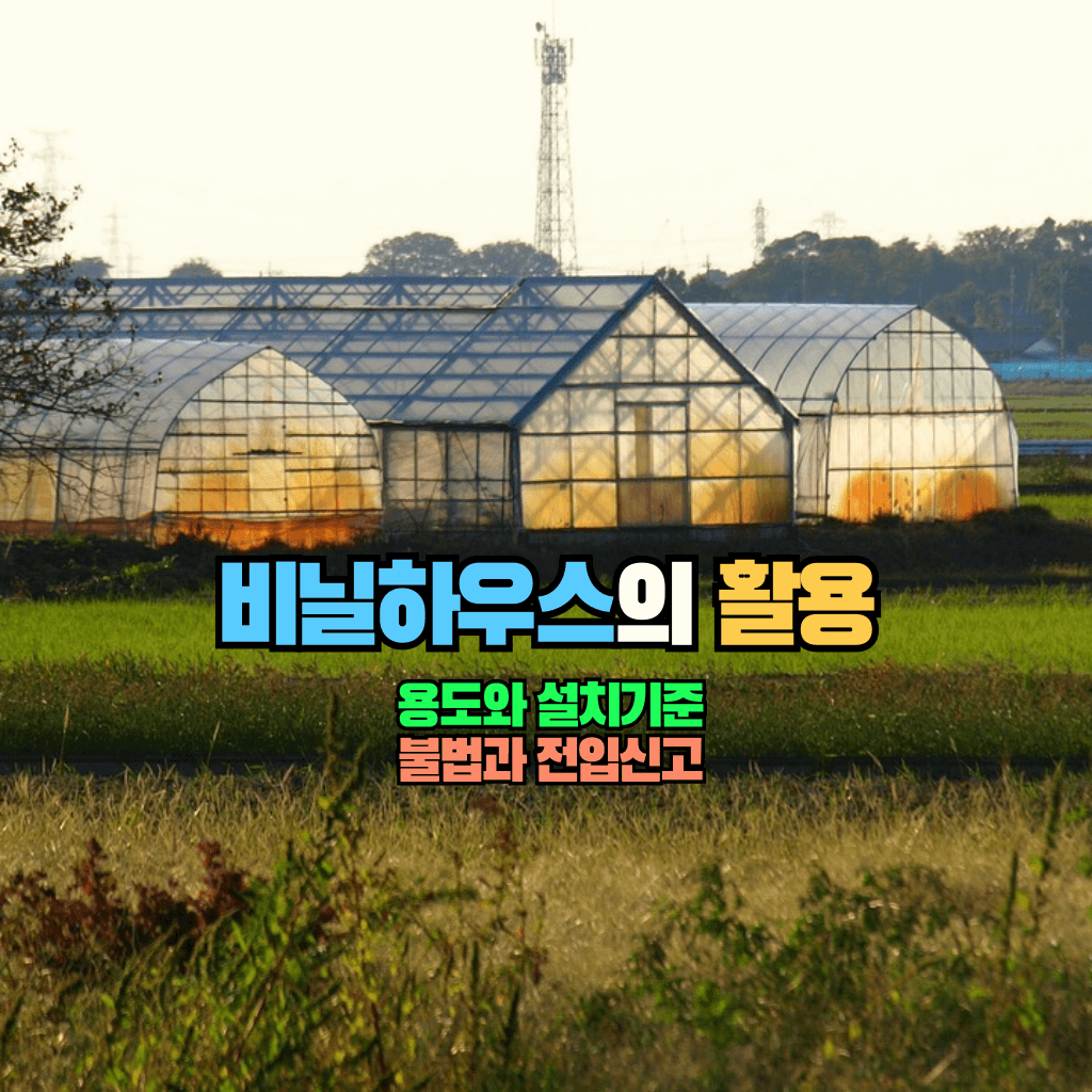 비닐하우스의 활용: 용도와 전입신고