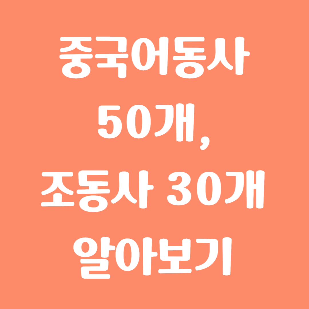 중국어 동사 50개, 조동사 30개 알아보기