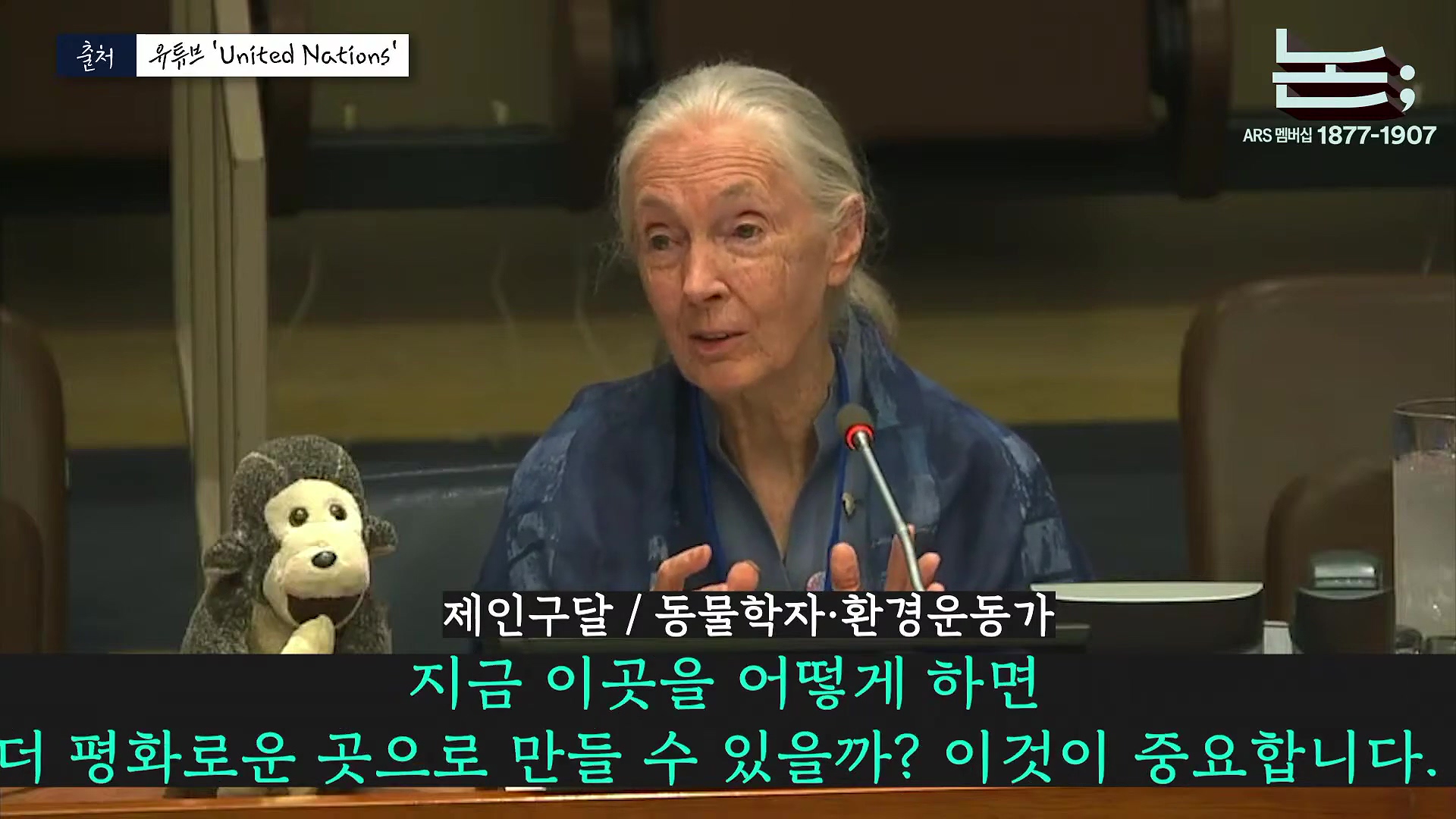 [정준희의 논] '제국의 위안부' 박유하와 '침팬지의 어머니' 제인 구달ㅣ2025년 10월 2일 목요일.mp4_20251006_195616.417.jpg