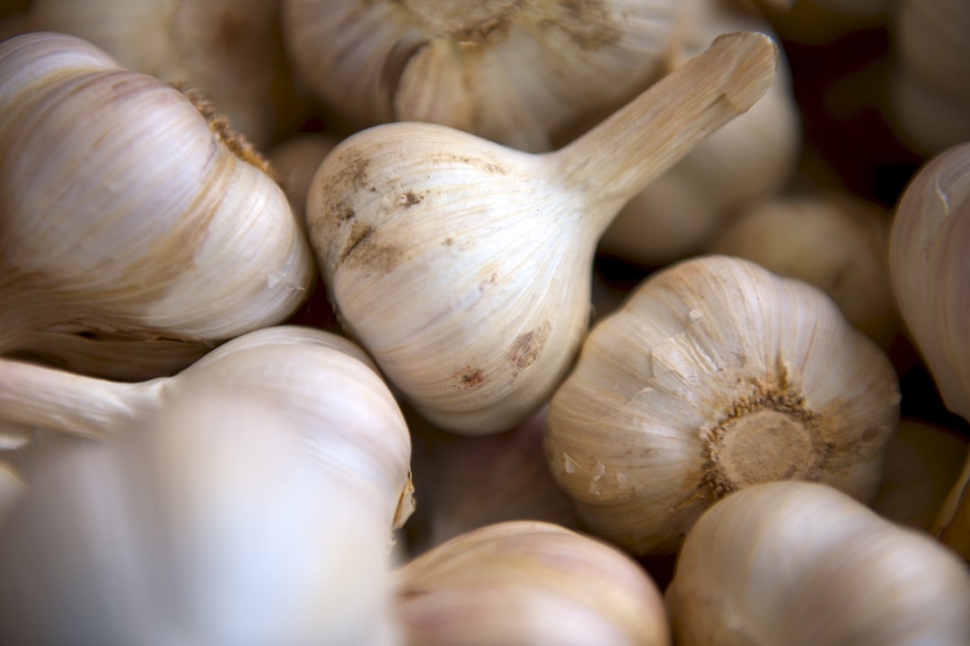 Honey garlic benefits.