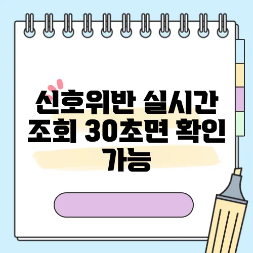 신호위반 실시간 조회 30초면 확인 가능