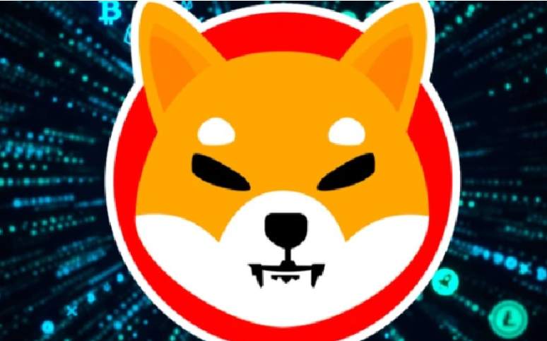 시바이누코인 관련 사진
