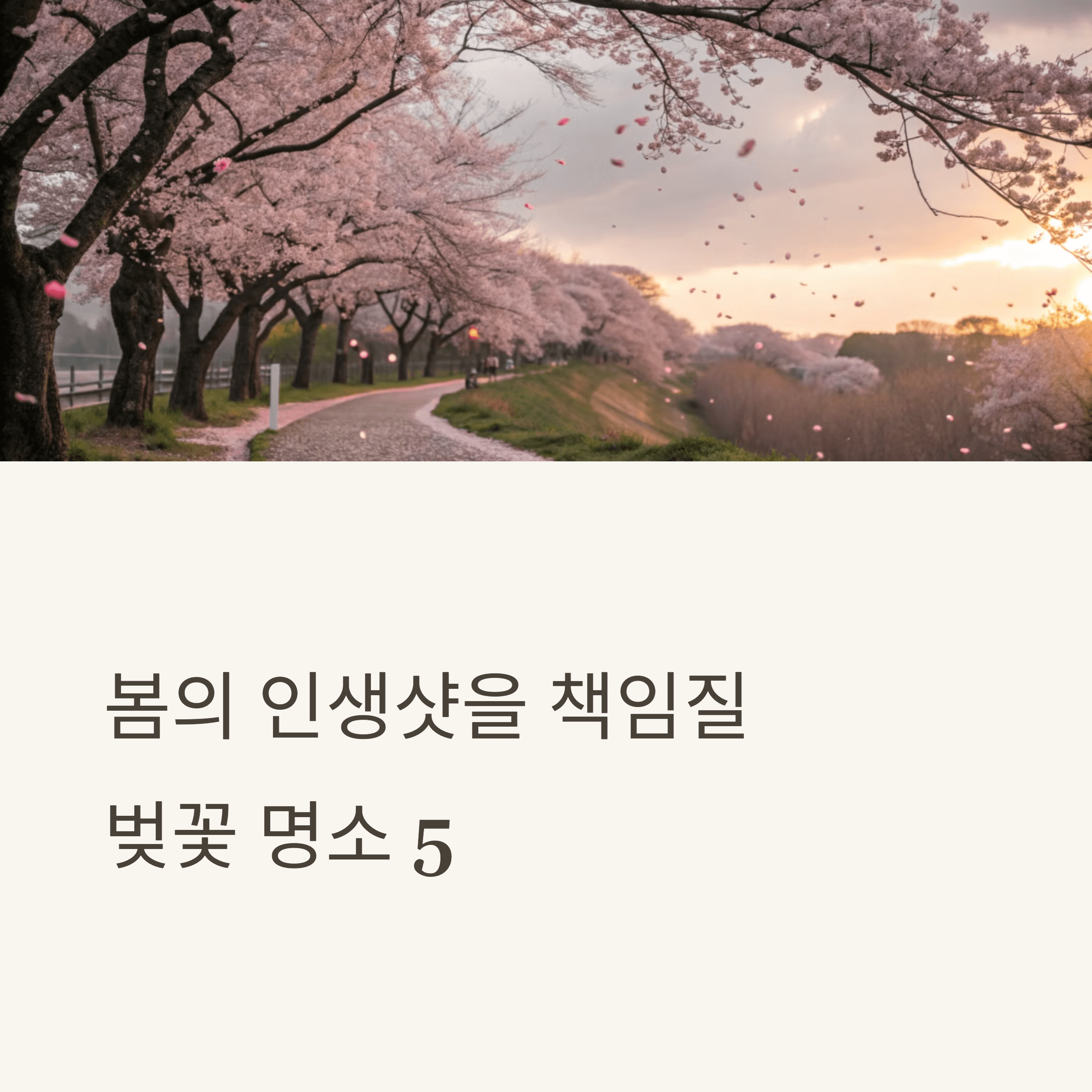 봄의 인생샷을 책임질 벚꽃 명소 5