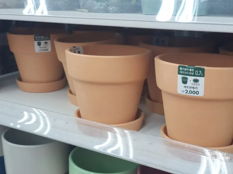 다이소 화분 활용 배수구멍 만들기 받침 사용 흙선택 예산절약 팁_6