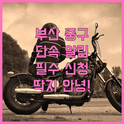 부산 중구 주정차 단속 알림 서비스 ..