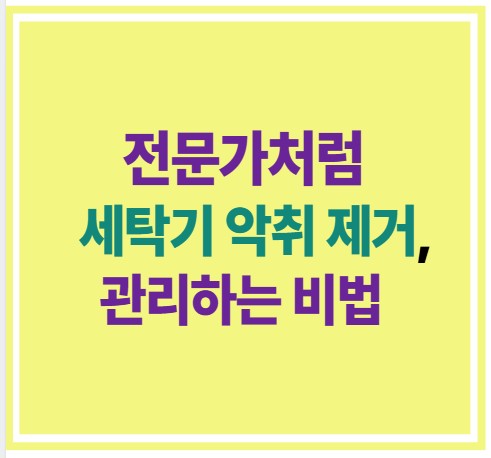 전문가처럼 세탁기 악취 제거, 관리하는 비법