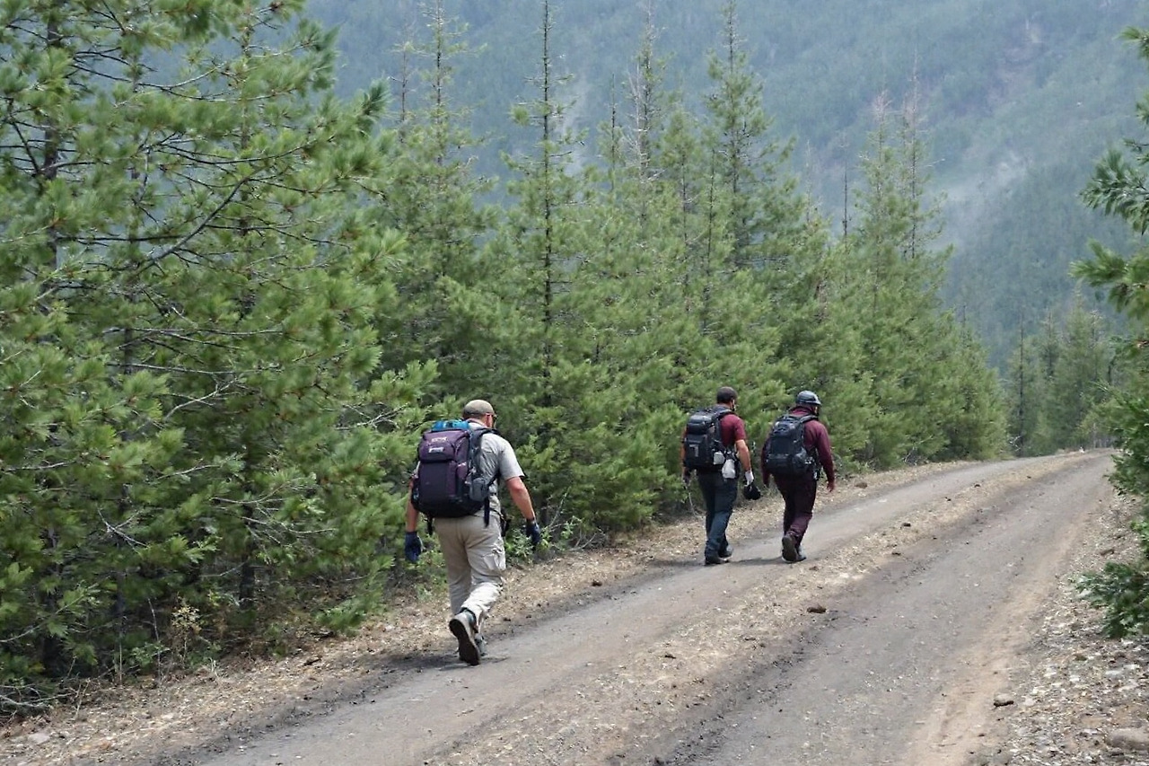 산불비화현상 대응 방법