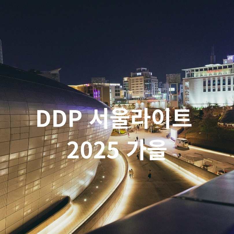 DDP 서울라이트 2025 가을