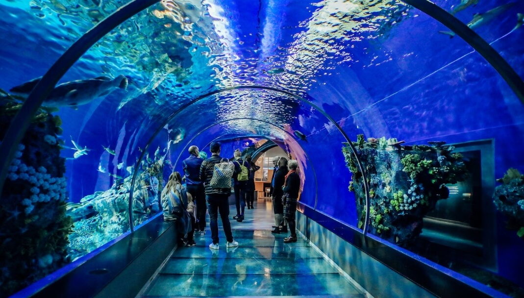 코엑스 아쿠아리움 
