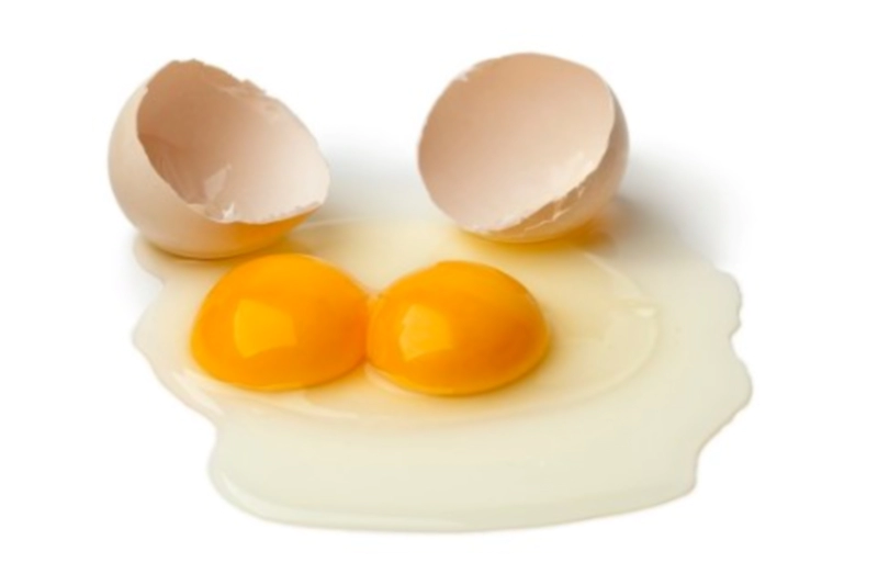 난유란 무엇인가?