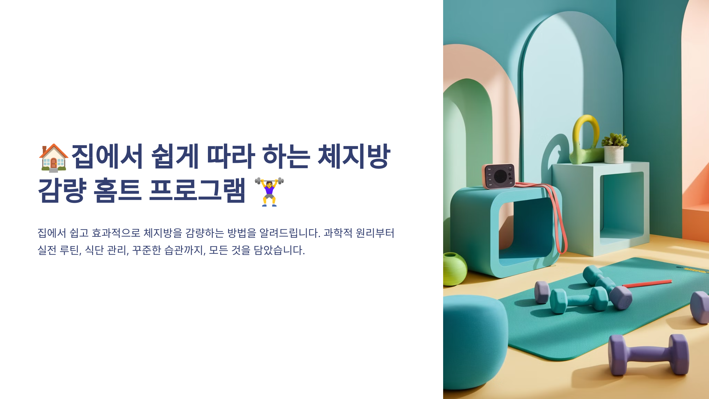 체지방 감량 홈트 프로그램