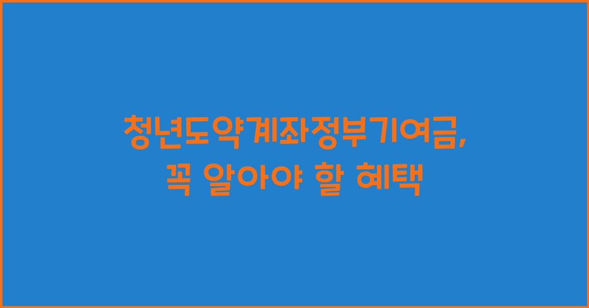 청년도약계좌정부기여금