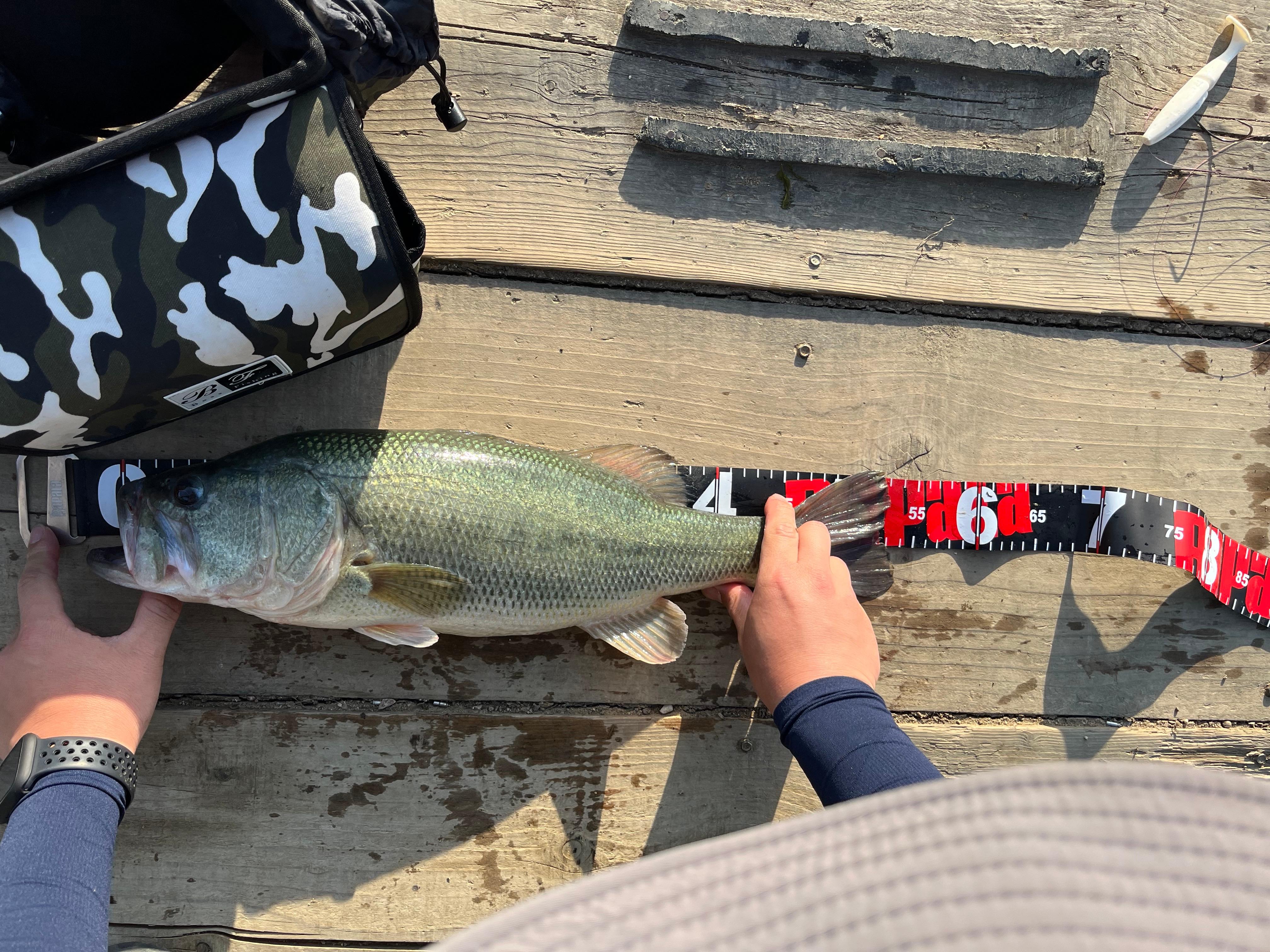배스 런커 사진