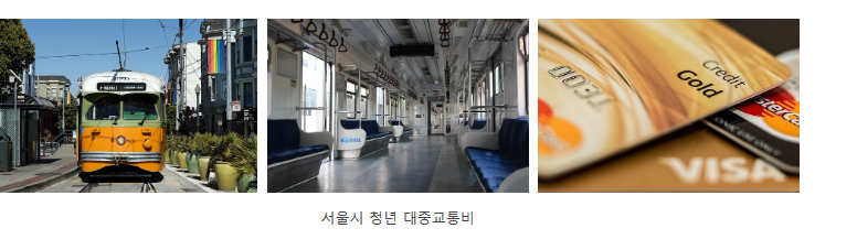 서울시청년대중교통비