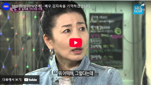 배우 김자옥 필모그래피