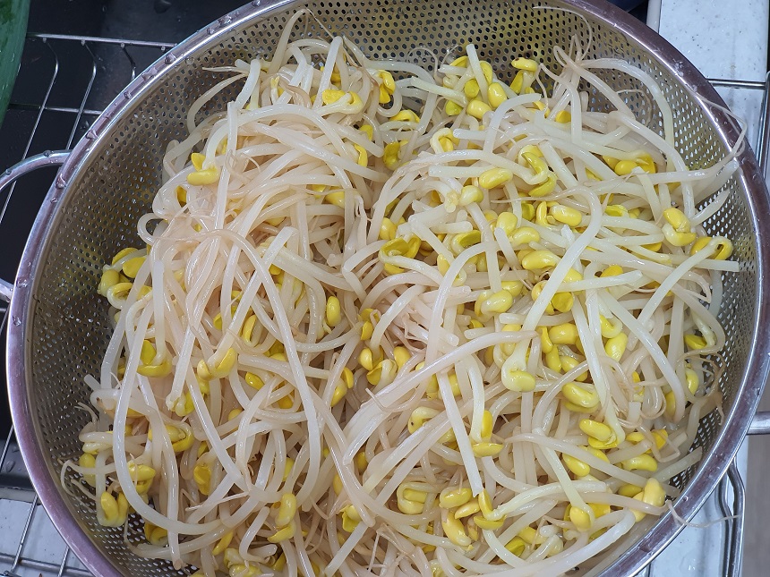 콩나물무침 레시피