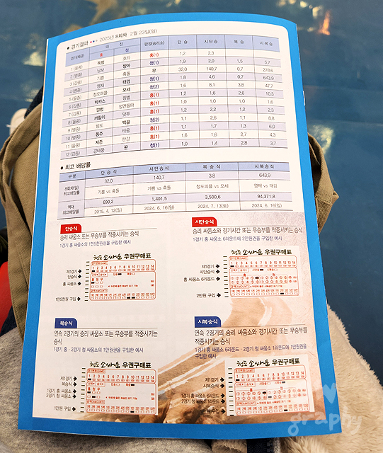 청도-소싸움경기장