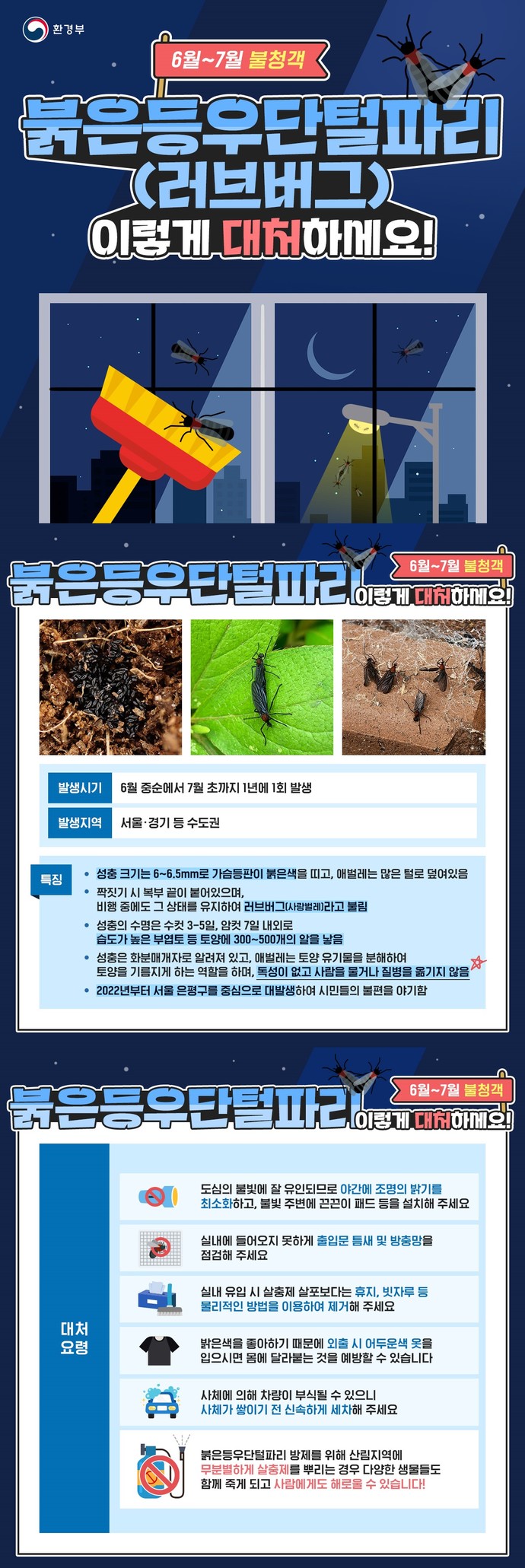 러브버그 퇴치법2