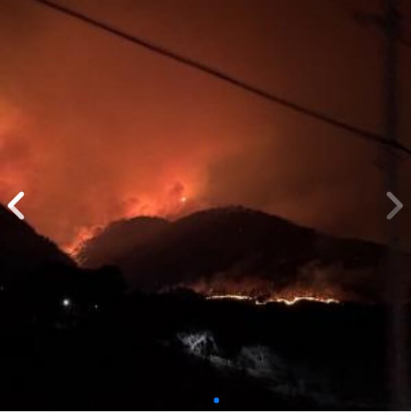 고향사랑e음으로 산불 기부하고 세액공제 + 지역특산물까지 받는 법