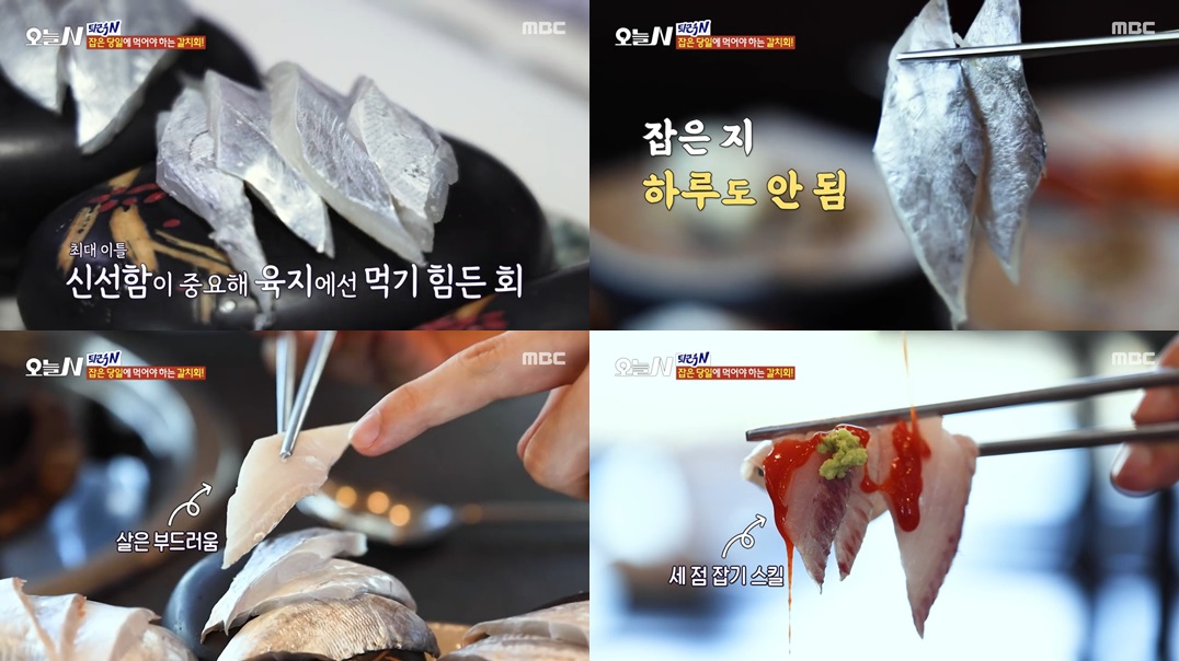 신선한 은빛 갈치회, 제주에서만 즐길 수 있는 별미